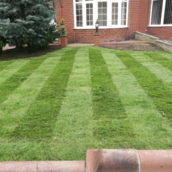 Family Deluxe Lawn Turf Chaplethorpe