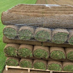 Turf in Fitling