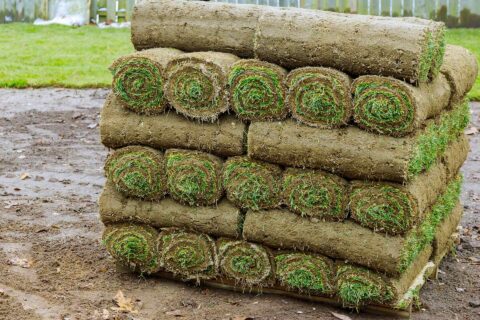 LAWN TURF FOR SALE & DELIVERY IN South kirby