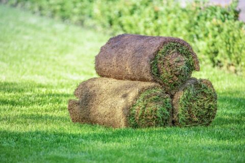 TOP QUALITY TURF DELIVERED TO South kirby