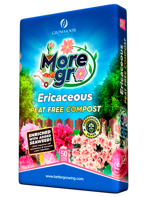 Moregro Ericaceous