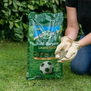 Grass seed live Yorkshire