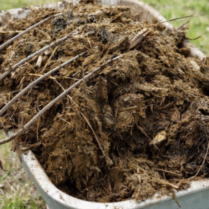 Horse manure Yorkshire
